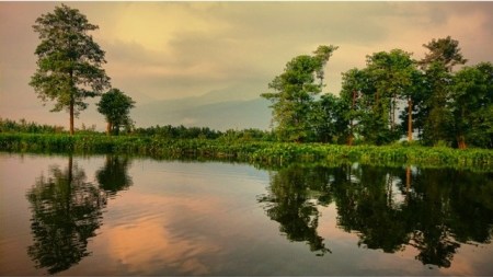 rawa pening, enceng gondok